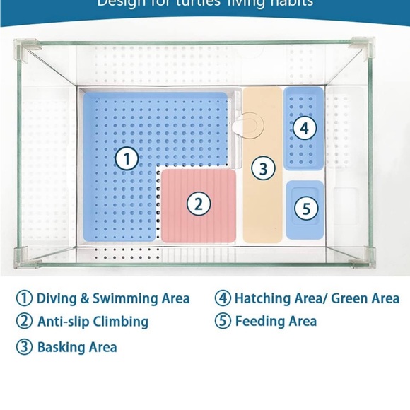 Glass Turtle Tank - Picture 5 of 6